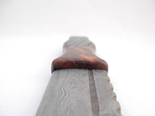 Bog Oak and Desert Ironwood Burr Damascus Steel Sgian Dubh- sharpened, Scottish gift, Scottish, wedding gift, groom gift, mens gift