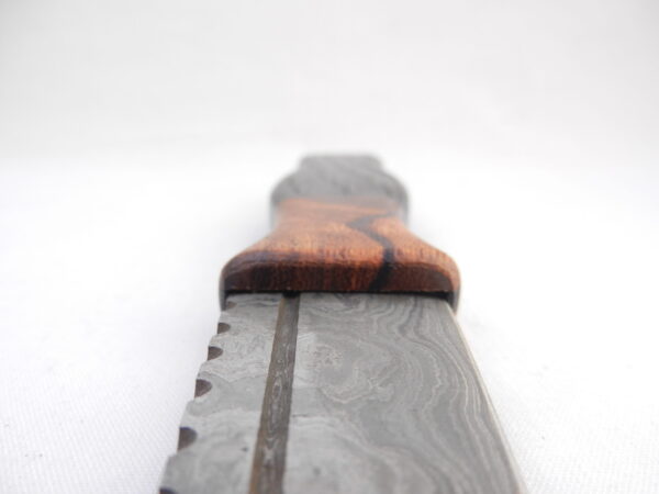Bog Oak and Desert Ironwood Burr Damascus Steel Sgian Dubh- sharpened, Scottish gift, Scottish, wedding gift, groom gift, mens gift