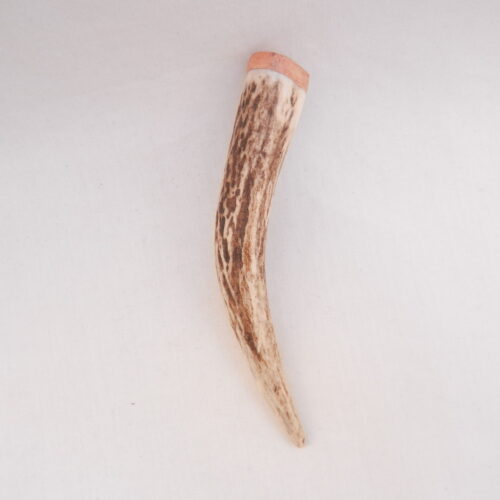 Scottish Red Deer Antler Kilt Pin: Burr Wych Elm Sapwood