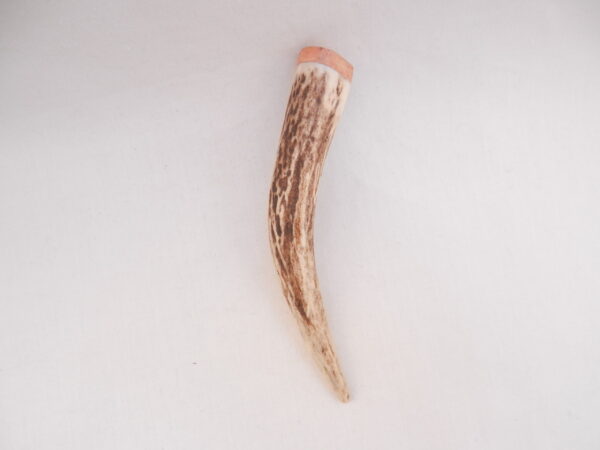 Scottish Red Deer Antler Kilt Pin: Burr Wych Elm Sapwood