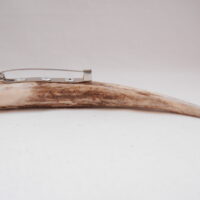 Scottish Red Deer Antler Kilt Pin: Burr Wych Elm Sapwood