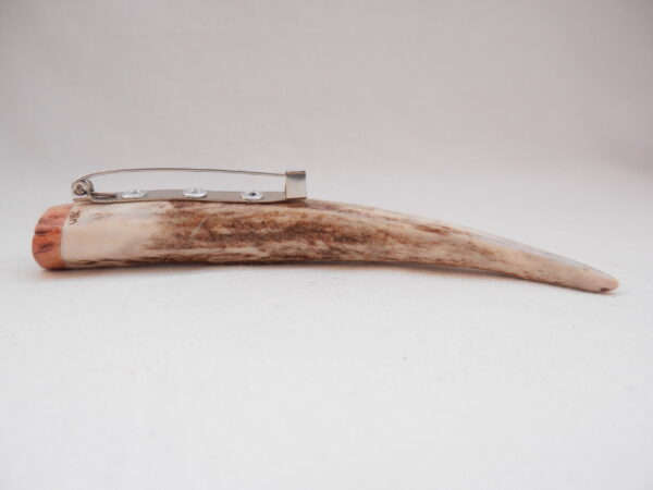Scottish Red Deer Antler Kilt Pin: Burr Wych Elm Sapwood