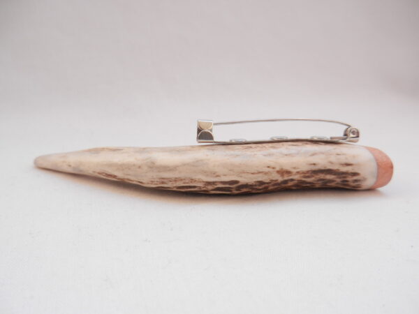 Scottish Red Deer Antler Kilt Pin: Burr Wych Elm Sapwood