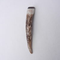 Scottish Red Deer Antler Kilt Pin with Surinese Snakewood