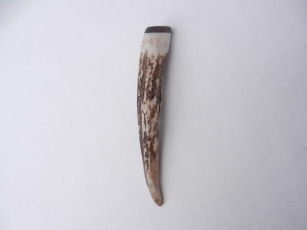 Scottish Red Deer Antler Kilt Pin with Surinese Snakewood