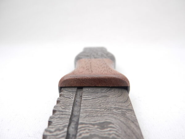 DSCN3976 Scottish Bog Oak and Walnut Damascus Sgian Dubh, Scottish knife, kilt knife, wedding gift