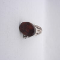 DSCN3984 Scottish Red Deer Antler Kilt Pin with Surinese Snakewood