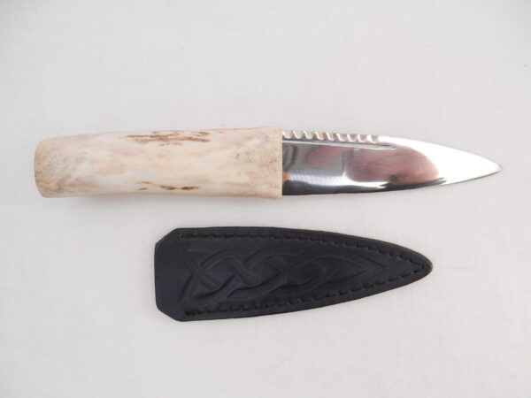 DSCN4052 Natural Sgian Dubh in Red Deer Antler and Wych Elm, Scottish knife, kilt Knife