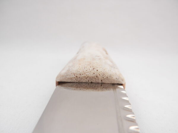 DSCN4056 Natural Sgian Dubh in Red Deer Antler and Wych Elm, Scottish knife, kilt Knife
