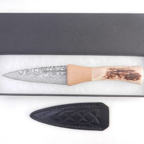 DSCN4074 Natural Red Deer Antler and Walnut Damascus Sgian Dubh, Scottish knife, kilt knife, Scottish gift
