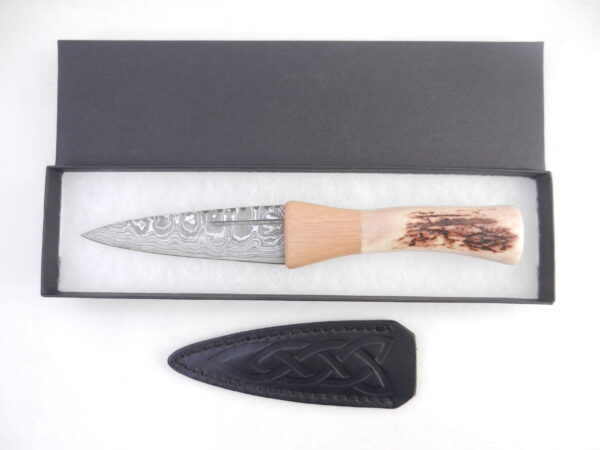 DSCN4074 Natural Red Deer Antler and Walnut Damascus Sgian Dubh, Scottish knife, kilt knife, Scottish gift