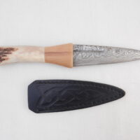 DSCN4076 Natural Red Deer Antler and Walnut Damascus Sgian Dubh, Scottish knife, kilt knife, Scottish gift