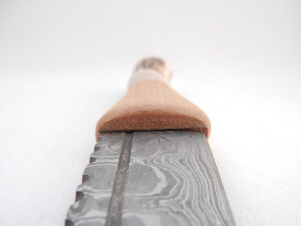 DSCN4079 Natural Red Deer Antler and Walnut Damascus Sgian Dubh, Scottish knife, kilt knife, Scottish gift