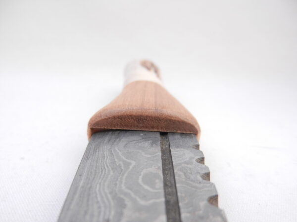 DSCN4107 New Damascus Steel Sgian Dubh in Red Deer Stag Antler and Scottish Walnut, Scottish gift, antler gift, wedding gift, groom gift, mens gift