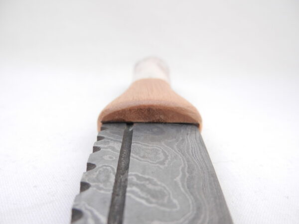 DSCN4108 New Damascus Steel Sgian Dubh in Red Deer Stag Antler and Scottish Walnut, Scottish gift, antler gift, wedding gift, groom gift, mens gift
