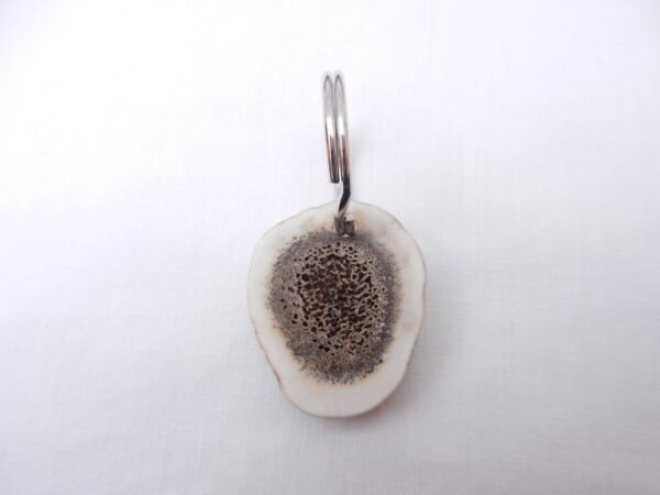 il_fullxfull.2923899728_sz9y Scottish Red Deer Antler Bottle Opener with Antler Key Ring