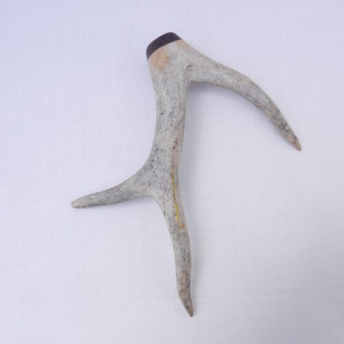 Scottish Kilt Pin: Roe Deer Antler & Snakewood, Mens Gift
