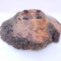 il_fullxfull.5702198446_fj1p Live Edge Coolibah Burr Bowl: Exotic Wood Turned Treen