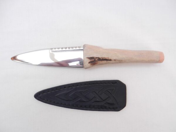 Natural Sgian Dubh in Scottish Red Deer Stag Antler and Burr Wych Elm Sapwood