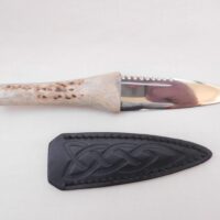 Natural Sgian Dubh in Scottish Red Deer Stag Antler and Burr Wych Elm Sapwood