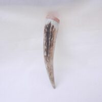 il_fullxfull.6442393940_akcp Scottish Red Deer Antler Kilt Pin: Burr Wych Elm Sapwood