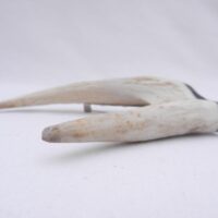 il_fullxfull.6731140610_9hdl Scottish Kilt Pin: Red Deer Antler & Bog Oak, Horn Gift