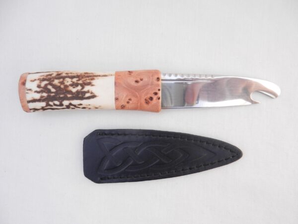 il_fullxfull.6762289146_r1kg Scottish Sgian Brew: Stag Antler & Burr Elm Handle, Stainless Steel Blade