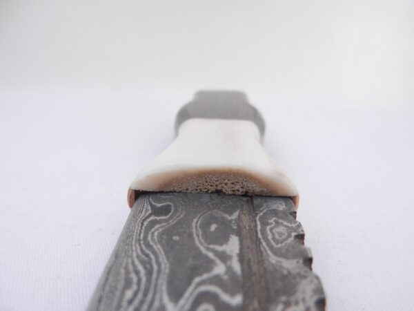 il_fullxfull.6779039826_jljb Damascus Steel Sgian Dubh: African Blackwood & Red Deer Antler Kilt Knife