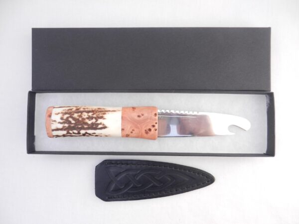 il_fullxfull.6810304537_72y5 Scottish Sgian Brew: Stag Antler & Burr Elm Handle, Stainless Steel Blade