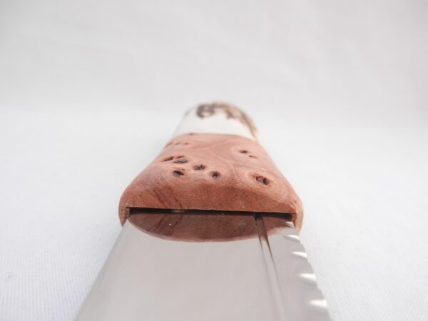 il_fullxfull.6810304773_fwfi Scottish Sgian Brew: Stag Antler & Burr Elm Handle, Stainless Steel Blade