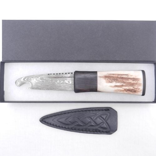 Damascus Steel Natural Sgian Brew in Red Deer Stag Antler and African Blackwood, Scottish gift, antler gift, wedding gift, groom gift