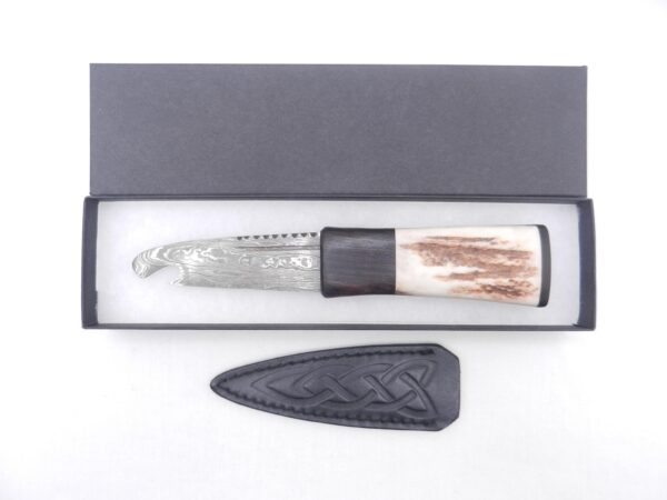 il_fullxfull.6981475414_l1uc Damascus Steel Natural Sgian Brew in Red Deer Stag Antler and African Blackwood, Scottish gift, antler gift, wedding gift, groom gift