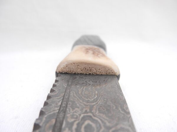 il_fullxfull.7019221027_i2m6 Scottish Bog Oak and Natural Antler Damascus Steel Sgian Brew, Bottle opener, Scottish gift, Scottish, wedding gift, groom gift, mens gift