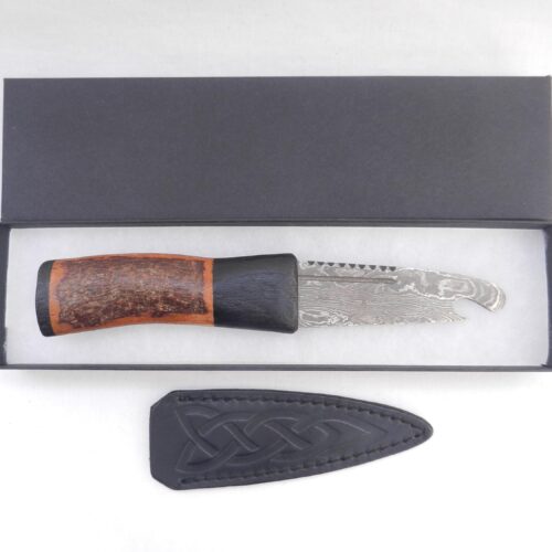 Natural Blackthorn Damascus Sgian Brew with local Bog Oak and Brazilian Purpleheart centre