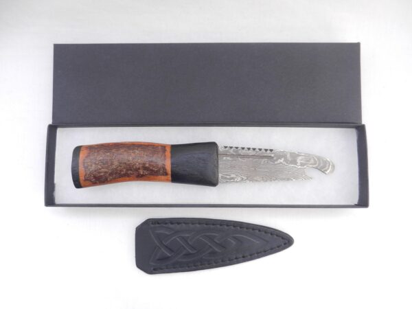 Natural Blackthorn Damascus Sgian Brew with local Bog Oak and Brazilian Purpleheart centre