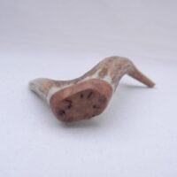 Scottish Roe Deer Antler Kilt Pin with Burr Wych Elm