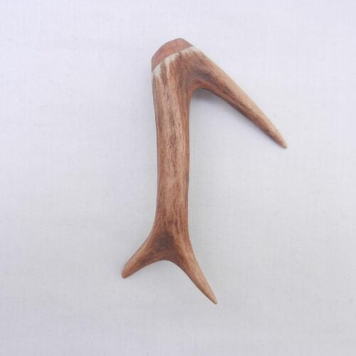 Scottish Roe Deer Antler Kilt Pin with Burr Wych Elm