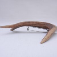 Scottish Roe Deer Antler Kilt Pin with Burr Wych Elm