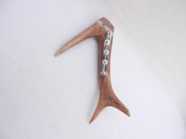 Scottish Roe Deer Antler Kilt Pin with Burr Wych Elm
