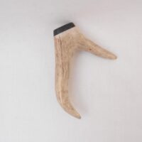 il_fullxfull.7188289985_ew1s Roe Deer Antler Kilt Pin: Scottish Bog Oak, Highland Gift