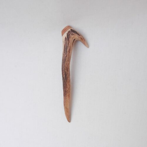 Scottish Roe Deer Antler Kilt Pin: Burr Wych Elm, Highland Gift