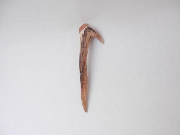 il_fullxfull.7188318977_mqfi Scottish Roe Deer Antler Kilt Pin: Burr Wych Elm, Highland Gift
