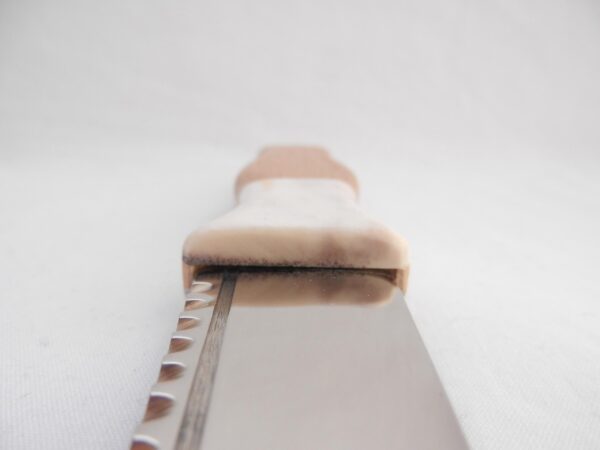 Scottish Walnut Sgian Dubh: Red Deer Antler Kilt Knife with Hawthorn