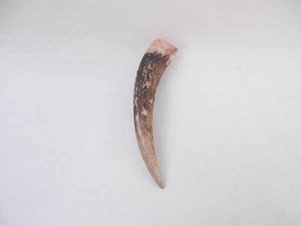 il_fullxfull.7305853038_qv43 Red Deer Antler Kilt Pin: Scottish Burr Elm sapwood Gift
