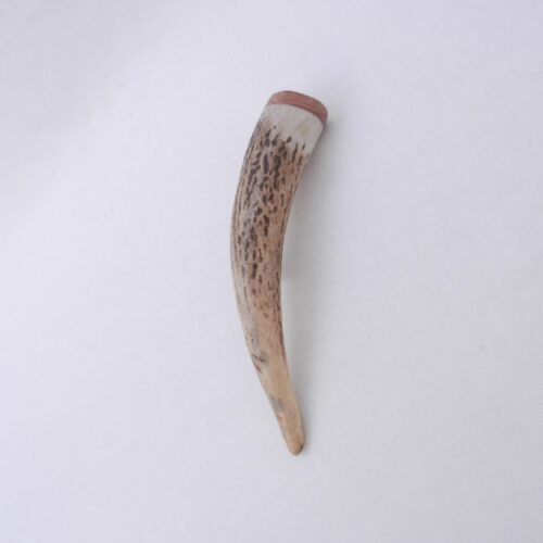 Scottish Red Deer Antler Kilt Pin: Burr Wych Elm, Handmade