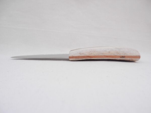 il_fullxfull.7369370166_gnls Natural Sgian Dubh: Red Deer Antler Scottish Kilt Knife