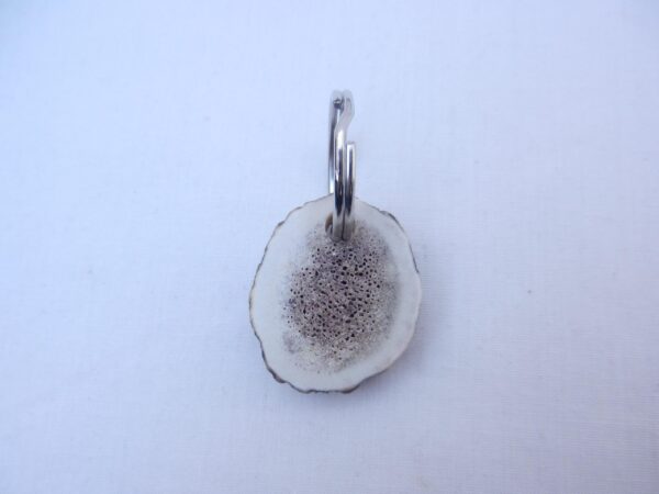 Scottish Red Deer Antler Bottle Opener with Keyring: Lairg Highland Stag
