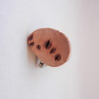 Red Deer Antler Kilt Pin: Scottish Burr Elm Sapwood Gift