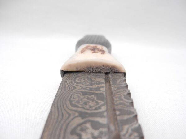Scottish Bog Oak Sgian Dubh: Damascus Steel Blade, Antler Handle