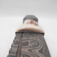 Scottish Bog Oak Sgian Dubh: Damascus Steel Blade, Antler Handle